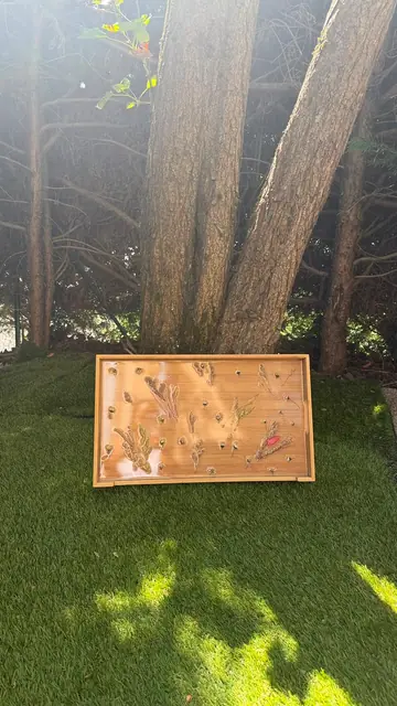Cadre mural avec fleurs séchées dans une composition dispersée et une palette neutre
